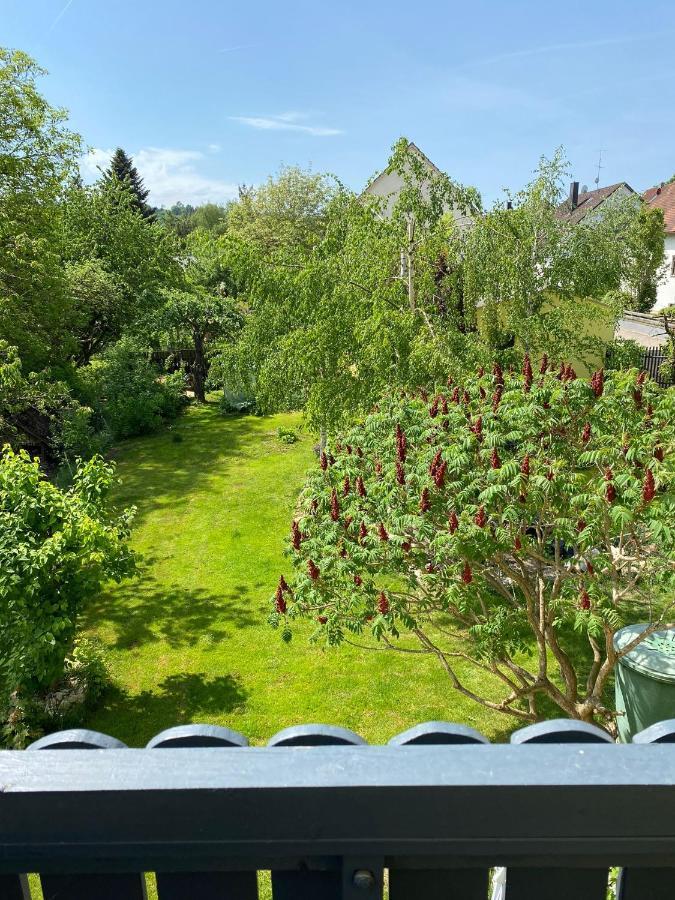 Ferienwohnung Zur Roni Treuchtlingen Eksteriør bilde